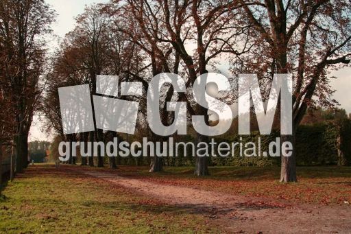 B-Herbststimmung 016.jpg